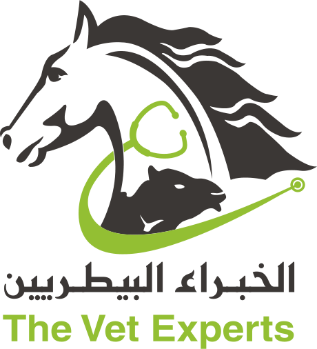 Vet-Experts